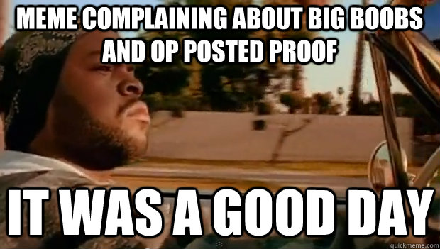 MEME COMPLAINING ABOUT BIG BOOBS AND OP POSTED PROOF IT WAS A GOOD DAY - MEME COMPLAINING ABOUT BIG BOOBS AND OP POSTED PROOF IT WAS A GOOD DAY  It was a good day