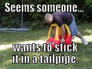 SEEMS SOMEONE...  WANTS TO STICK IT IN A TAILPIPE. Misc