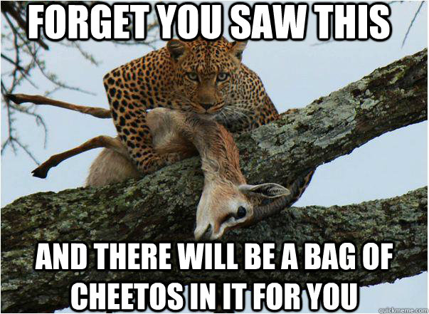 forget you saw this and there will be a bag of cheetos in it for you  Creepy Cheetah