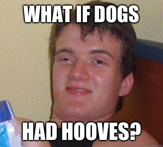 What if dogs Had hooves?  10 Guy