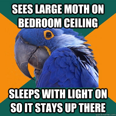 Sees large moth on bedroom ceiling Sleeps with light on so it stays up there  Paranoid Parrot