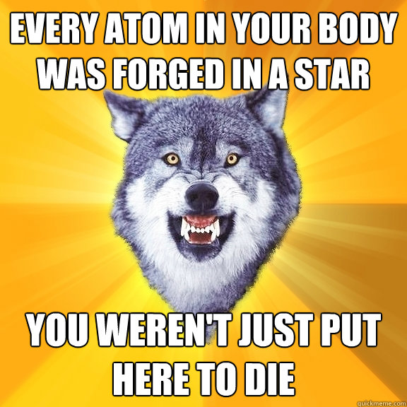 every atom in your body was forged in a star You weren't just put here to die - every atom in your body was forged in a star You weren't just put here to die  Courage Wolf