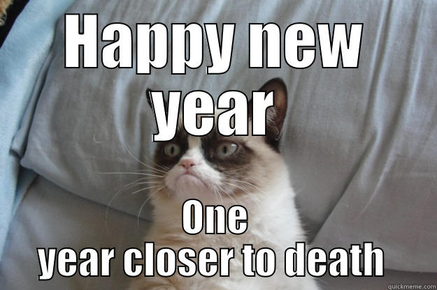 Happy new year - HAPPY NEW YEAR ONE YEAR CLOSER TO DEATH  Grumpy Cat