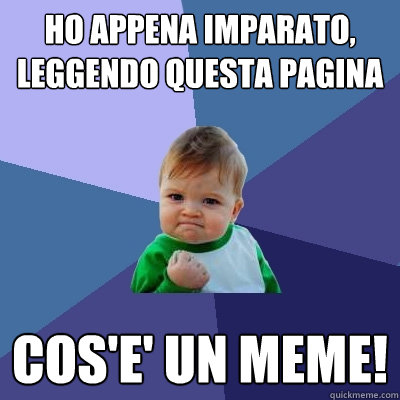 ho appena imparato, leggendo questa pagina cos'e' un meme!  Success Kid