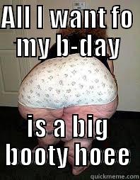 ALL I WANT FO MY B-DAY IS A BIG BOOTY HOEE Misc