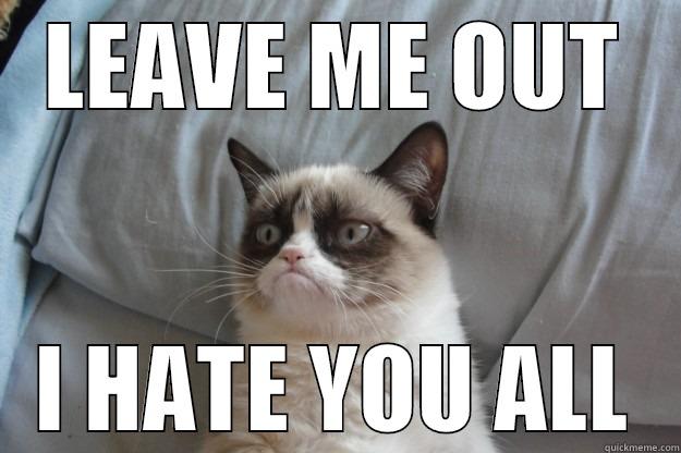 LEAVE ME OUT I HATE YOU ALL Grumpy Cat