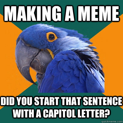 Making a meme Did you start that sentence with a capitol letter?  Paranoid Parrot
