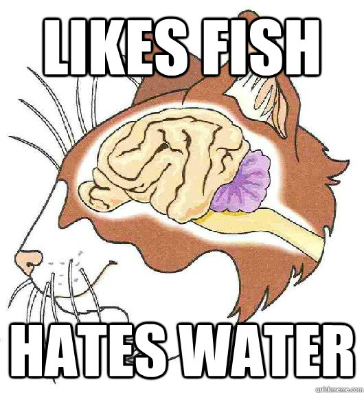 Likes Fish Hates water Scumbag Cat Brain quickmeme