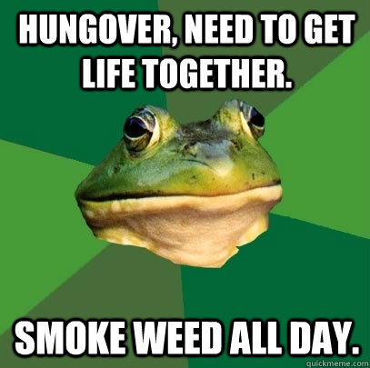 Hungover, need to get life together. Smoke weed all day.   Foul Bachelor Frog