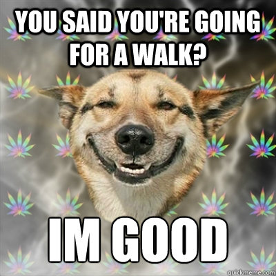 you said you're going for a walk? im good
  Stoner Dog