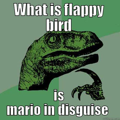 WHAT IS FLAPPY BIRD IS MARIO IN DISGUISE  Philosoraptor