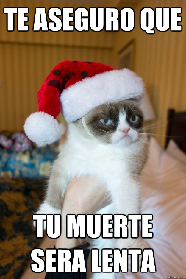 te aseguro que tu muerte sera lenta  Grumpy xmas
