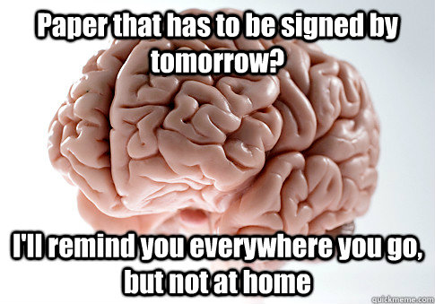 Paper that has to be signed by tomorrow? I'll remind you everywhere you go, but not at home   Scumbag Brain