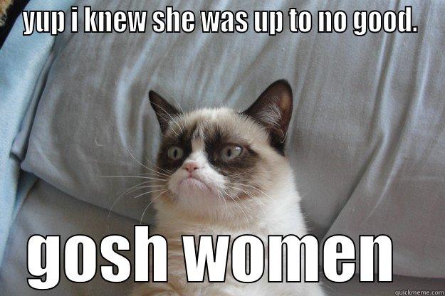 YUP I KNEW SHE WAS UP TO NO GOOD. GOSH WOMEN  Grumpy Cat