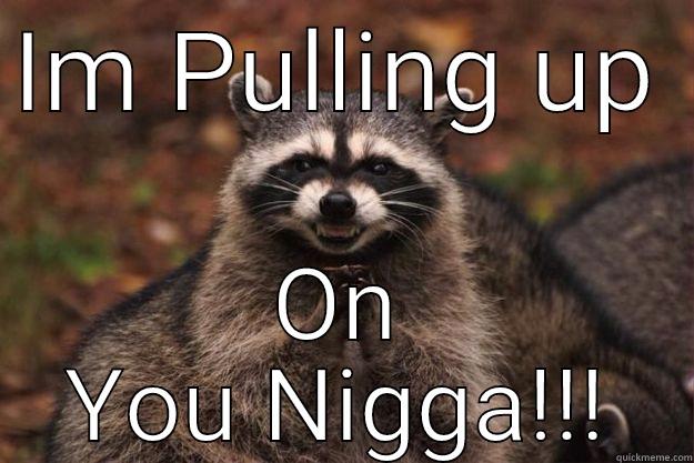 You aint pull up on them squirrels and ducks like that.. - IM PULLING UP  ON YOU NIGGA!!! Evil Plotting Raccoon