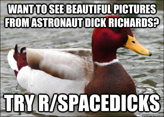 Want to see beautiful pictures from astronaut Dick Richards? try r/spacedicks - Want to see beautiful pictures from astronaut Dick Richards? try r/spacedicks  Malicious Advice Mallard