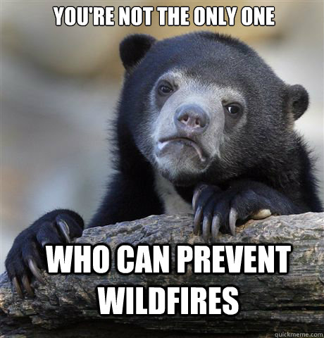 You're not the only one who can prevent wildfires  Confession Bear