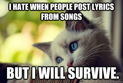 I hate when people post lyrics from songs  but I will survive.  First World Problems Cat