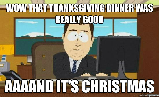 wow that thanksgiving dinner was really good AAAAND it's Christmas   aaaand its gone