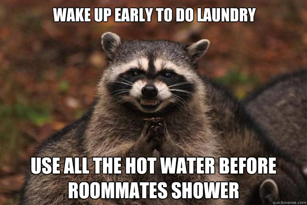 Wake up early to do laundry Use all the hot water before roommates shower  Evil Plotting Raccoon