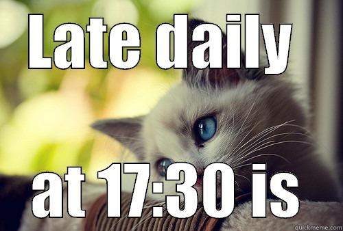 LATE DAILY  AT 17:30 IS First World Problems Cat