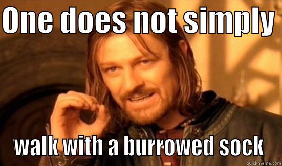 ONE DOES NOT SIMPLY  WALK WITH A BURROWED SOCK Boromir