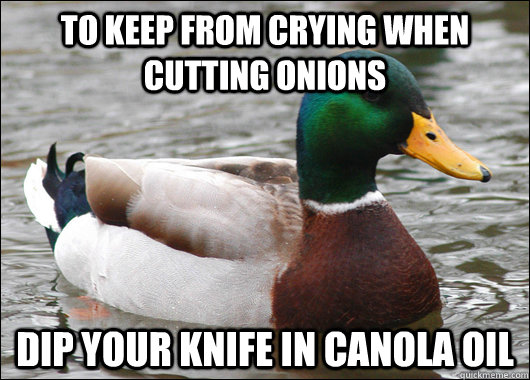 To keep from crying when cutting onions Dip your knife in canola oil  Actual Advice Mallard