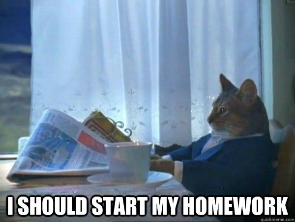  i should start my homework  morning realization newspaper cat meme