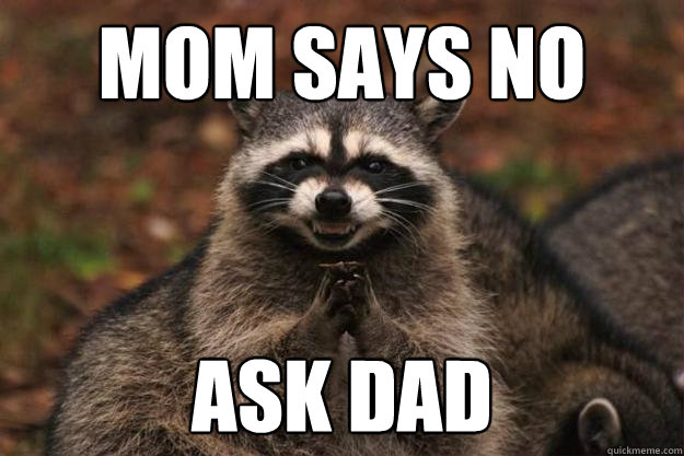 Mom says no ask dad  Evil Plotting Raccoon