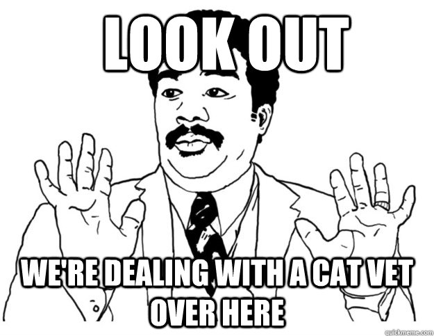 look out we're dealing with a cat vet over here  Watch out we got a badass over here