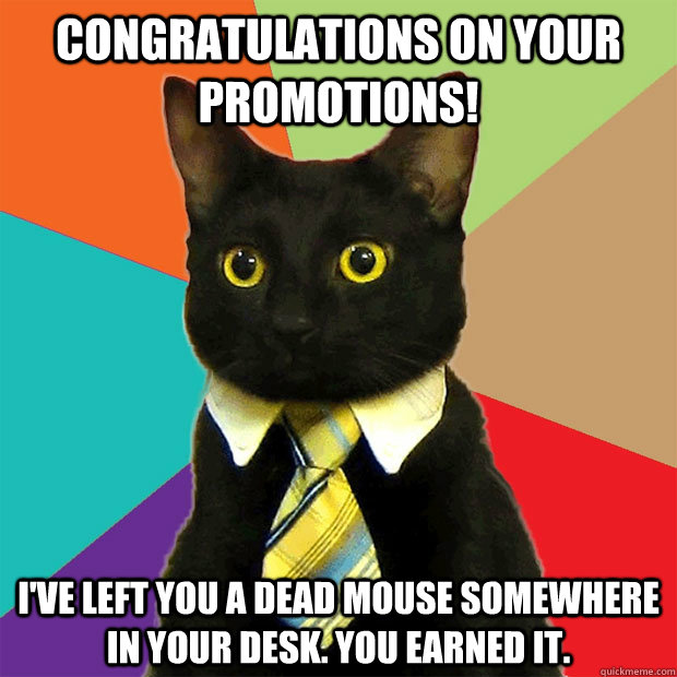 Congratulations on your promotions! I've left you a dead mouse somewhere in your desk. you earned it. - Congratulations on your promotions! I've left you a dead mouse somewhere in your desk. you earned it.  Business Cat