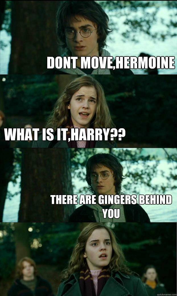 dont move,hermoine what is it,harry?? there are gingers behind you - dont move,hermoine what is it,harry?? there are gingers behind you  Horny Harry