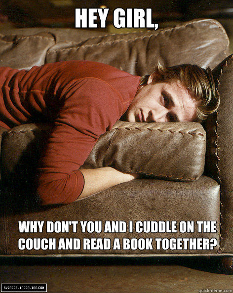 Hey girl, Why don't you and I cuddle on the couch and read a book together?  Ryan Gosling Hey Girl