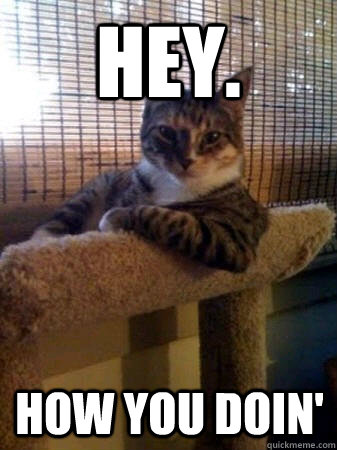 Hey. How YOU Doin'  The Most Interesting Cat in the World