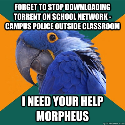 Forget to stop downloading torrent on school network - Campus police outside classroom I need your help morpheus  Paranoid Parrot