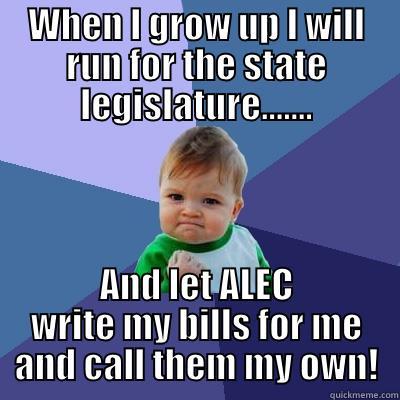 WHEN I GROW UP I WILL RUN FOR THE STATE LEGISLATURE....... AND LET ALEC WRITE MY BILLS FOR ME AND CALL THEM MY OWN! Success Kid