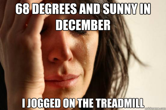 68 degrees and Sunny in December I jogged on the treadmill  First World Problems
