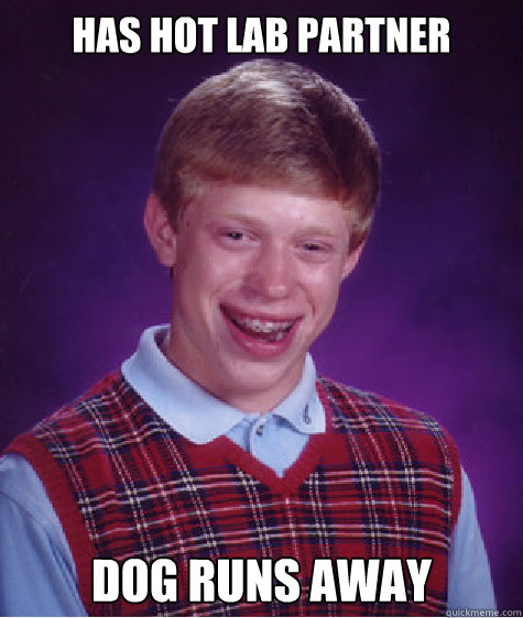 Has hot lab partner dog runs away  Bad Luck Brian
