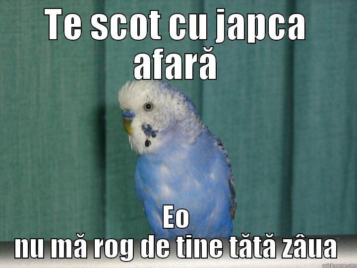 TE SCOT CU JAPCA AFARĂ EO NU MĂ ROG DE TINE TĂTĂ ZÂUA Misc