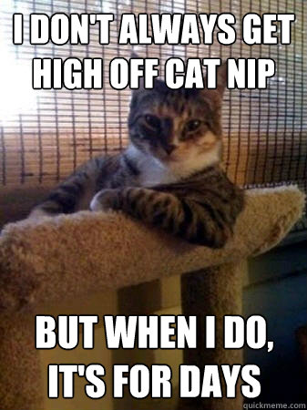 I don't always get high off cat nip but when I do, it's for days  The Most Interesting Cat in the World