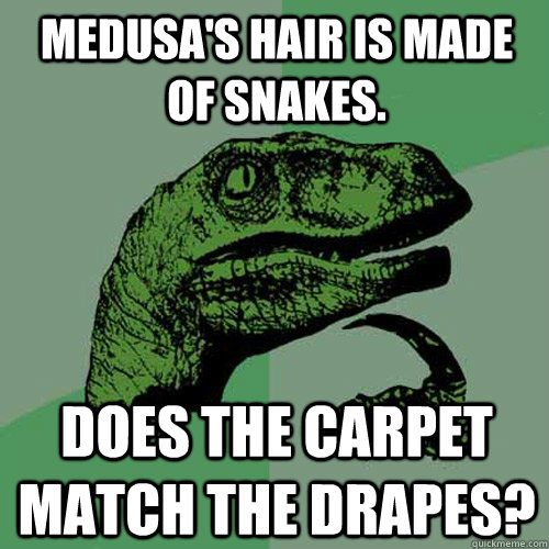 Medusa's hair is made of snakes. does the carpet match the drapes?  Philosoraptor