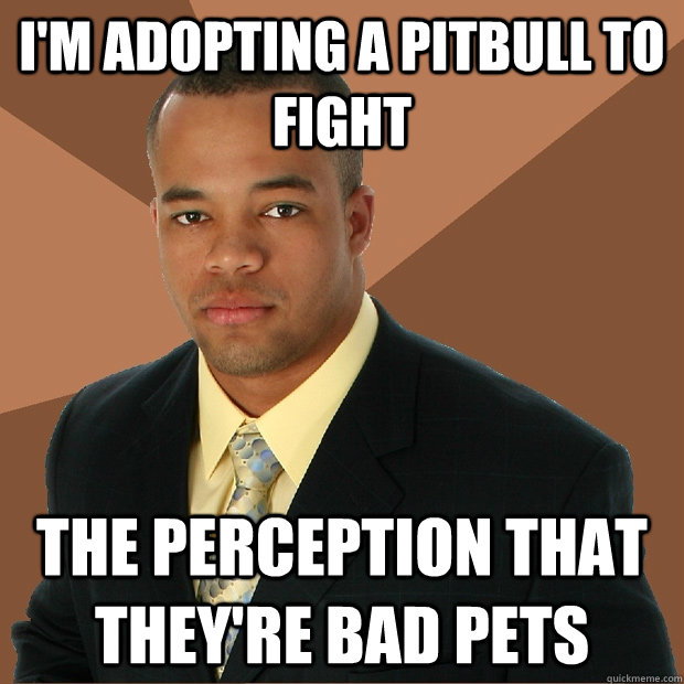 I'm adopting a pitbull to fight the perception that they're bad pets  Successful Black Man