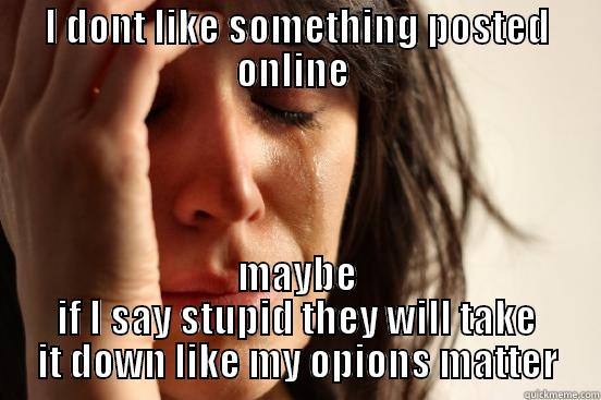 I DONT LIKE SOMETHING POSTED ONLINE  MAYBE IF I SAY STUPID THEY WILL TAKE IT DOWN LIKE MY OPIONS MATTER First World Problems