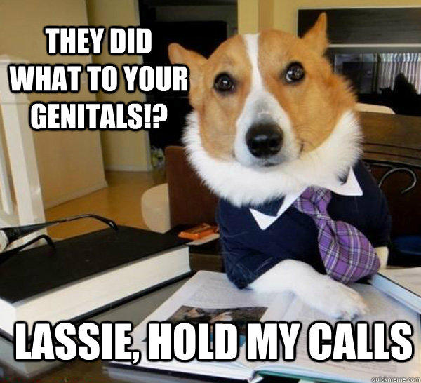 They did what to your genitals!? Lassie, hold my calls - They did what to your genitals!? Lassie, hold my calls  Lawyer Dog