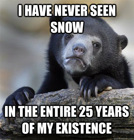 I HAVE NEVER SEEN SNOW IN THE ENTIRE 25 YEARS OF MY EXISTENCE  Confession Bear
