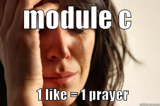 MODULE C                1 LIKE = 1 PRAYER            First World Problems