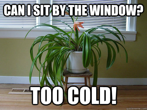 can i sit by the window? too cold!  