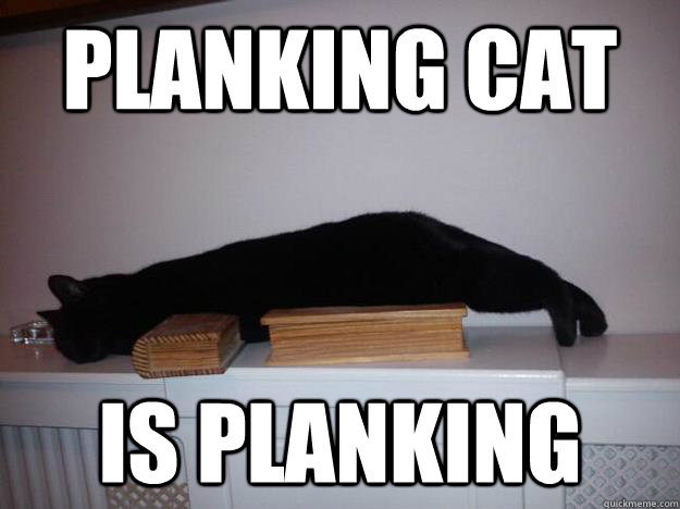 Planking Cat is planking - Planking Cat is planking  Plankcat