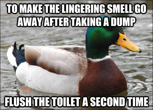 To make the lingering smell go away after taking a dump Flush the toilet a second time  Actual Advice Mallard