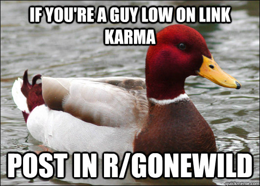 if you're a guy low on link karma post in r/gonewild  Malicious Advice Mallard